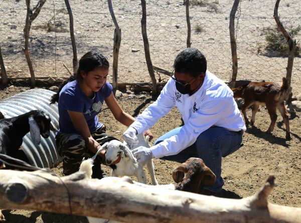 Beneficiadas 23 familias con los Huertos de Traspatio Yukú Kuúy