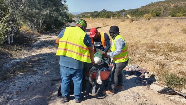 Realiza Servicios Públicos trabajos de limpieza de tipo pepena en carreteras