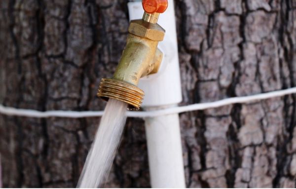 Suministradas 104 colonias con el servicio de agua potable por red, el 01 de febrero: OOMSAPAS La Paz