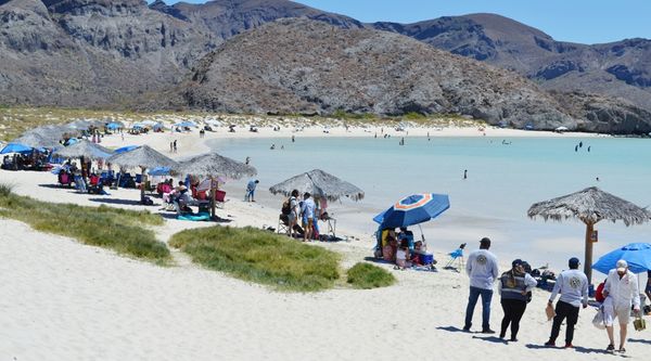 Concluye con saldo blanco el operativo de Semana Mayor 2024 en La Paz