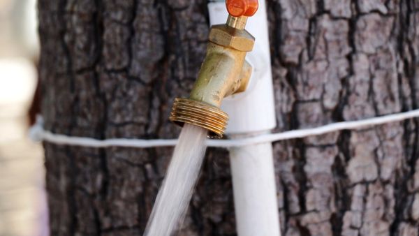 Contaron 102 colonias con servicio de agua potable por red, el 25 de junio: OOMSAPAS La Paz