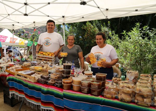 Con gran éxito se realizó la segunda Feria del Mango en San Bartolo