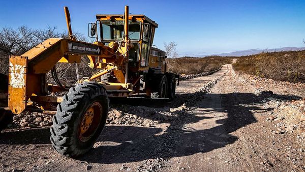 Rehabilita Gobierno Municipal 170 kilómetros de caminos rurales en Los Dolores