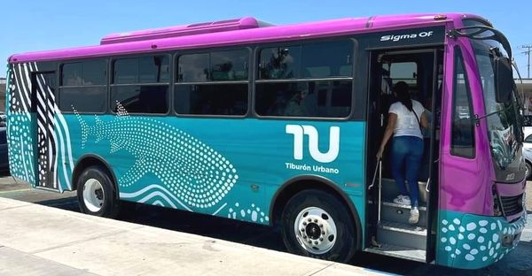 Avanzan preparativos para arranque del nuevo Sistema Municipal de Transporte en La Paz