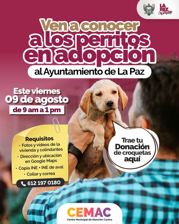 Invita CEMAC a la jornada de adopción de perritos en la explanada de Palacio Municipal