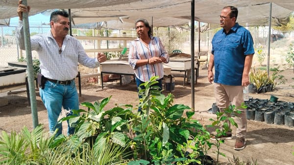 Ayuntamiento de La Paz impulsa proyectos sustentables en El Centenario