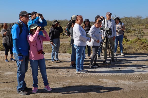 La Paz avanza en turismo de observación de aves con enfoque sostenible