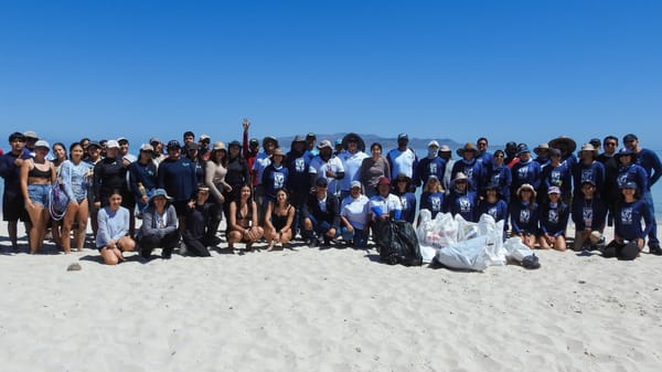 Recolectan más de 27 kilos de residuos en playa El Tecolote