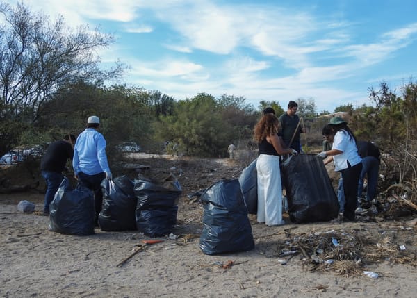 Recolectan más de 11 toneladas de residuos en playas de La Paz