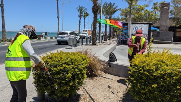 Servicios Públicos realiza mantenimiento en el malecón y colonias de La Paz