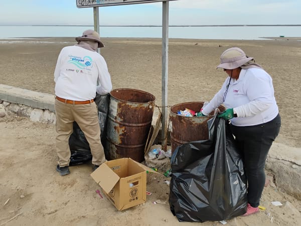 Recolectan más de 6 toneladas de residuos en playas, zona de arroyos y manglares