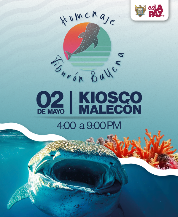 Gobierno Municipal de La Paz invita al Festival del Tiburón Ballena 2025