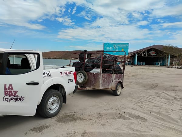 Recolectan más de 5 toneladas de residuos en playas de La Paz