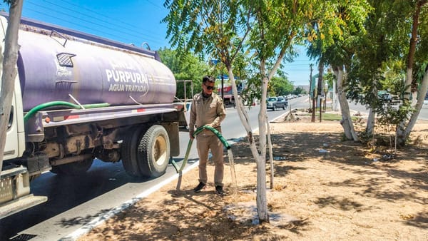 Destinan 250 mil litros de agua tratada para el riego y mantenimiento de espacios públicos