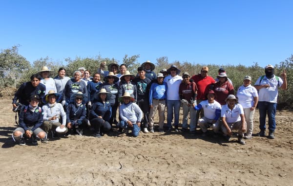 Participa ZOFEMAT en jornada de limpieza de manglares “El Cajoncito”