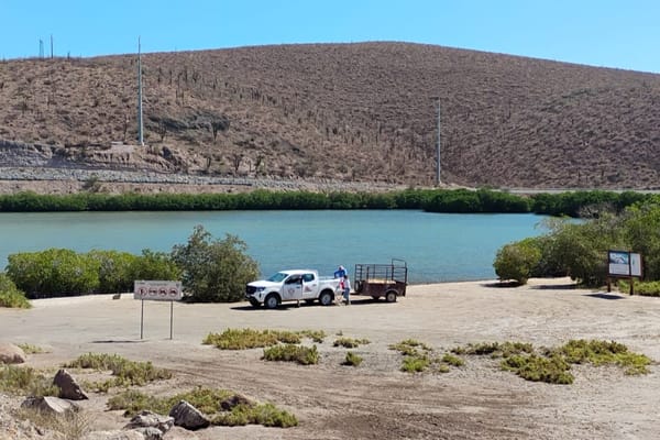 Recolectan más de 5 toneladas de residuos en playas y manglares de La Paz