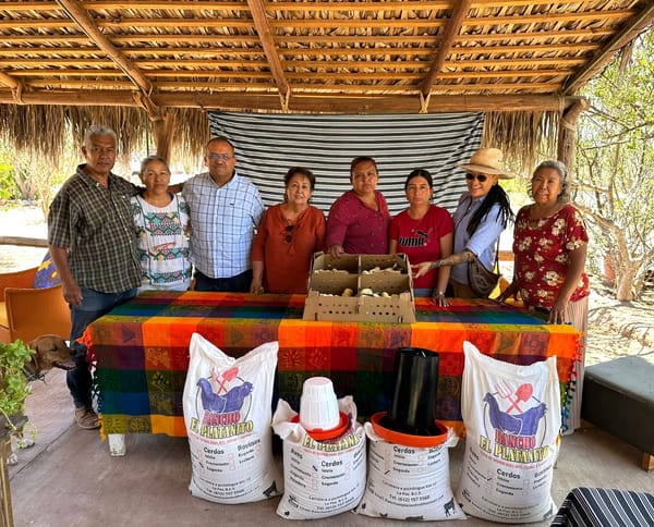 Ayuntamiento de La Paz fortalece capacitación de emprendedores rurales