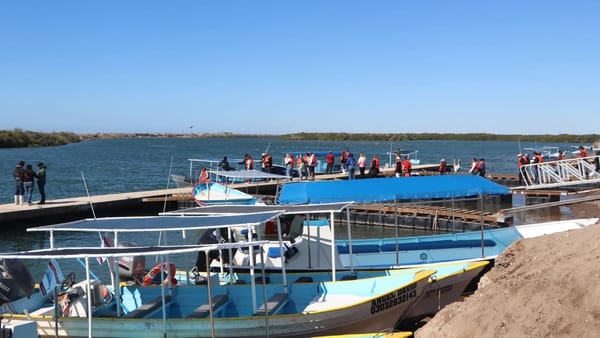 Inicia programa de capacitación en Puerto Chale, rumbo a la temporada de avistamiento de ballena 2026