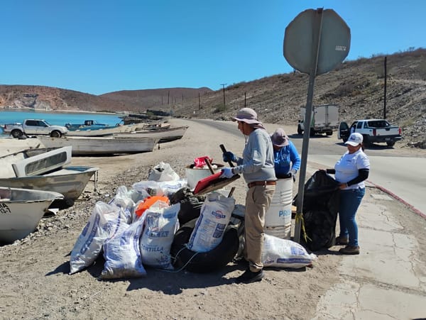 Recolecta Zofemat más de 9 toneladas de residuos en playas de La Paz
