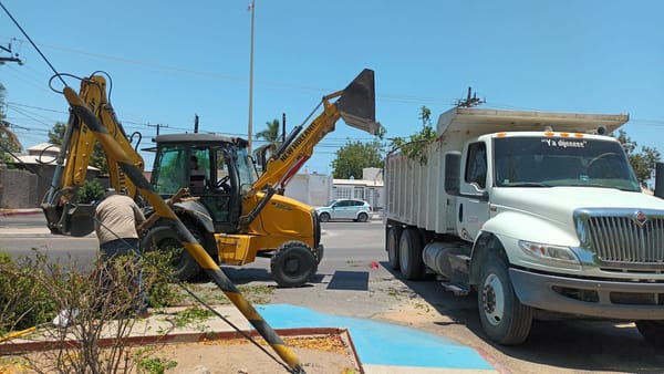 Más de 240 toneladas de residuos recolectados en trabajos de limpieza