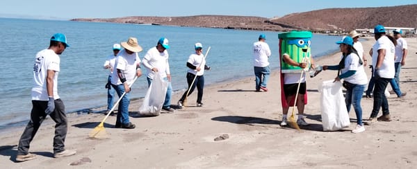 Participa la Dirección de Sustentabilidad en la limpieza de las playas Eréndira y El Sonorense