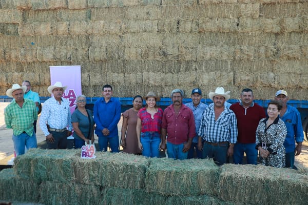 Apoya Milena Quiroga a productores de San Blas y Melitón Albáñez con entrega de alfalfa gratuita