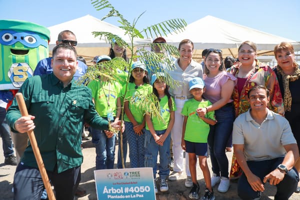 Encabeza Milena Quiroga jornada “Más árboles, menos plástico”, con siembra de árboles en el Palacio Municipal de La Paz