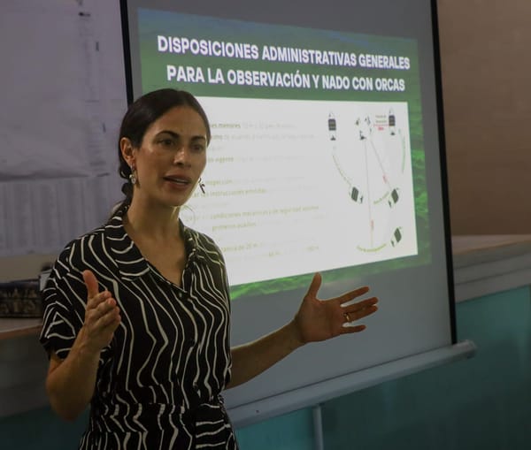 Anuncian la entrada en vigor del primer Plan de Manejo para el aprovechamiento turístico con orcas en Latinoamérica