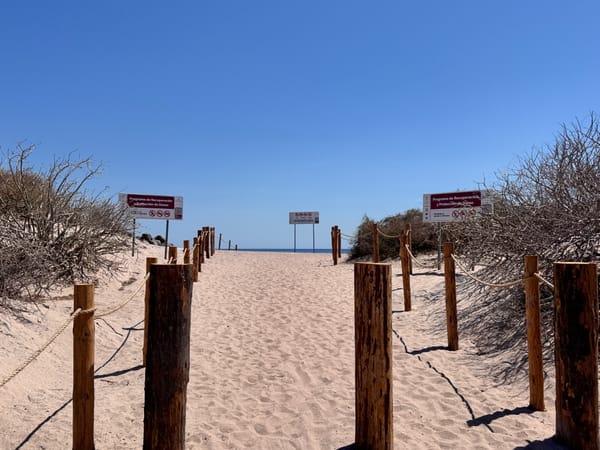 Playas El Saltito I y El Saltito Original, espacios que deben ser preservados