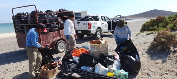 Recolecta Zofemat más de 7 toneladas de residuos en playas de La Paz