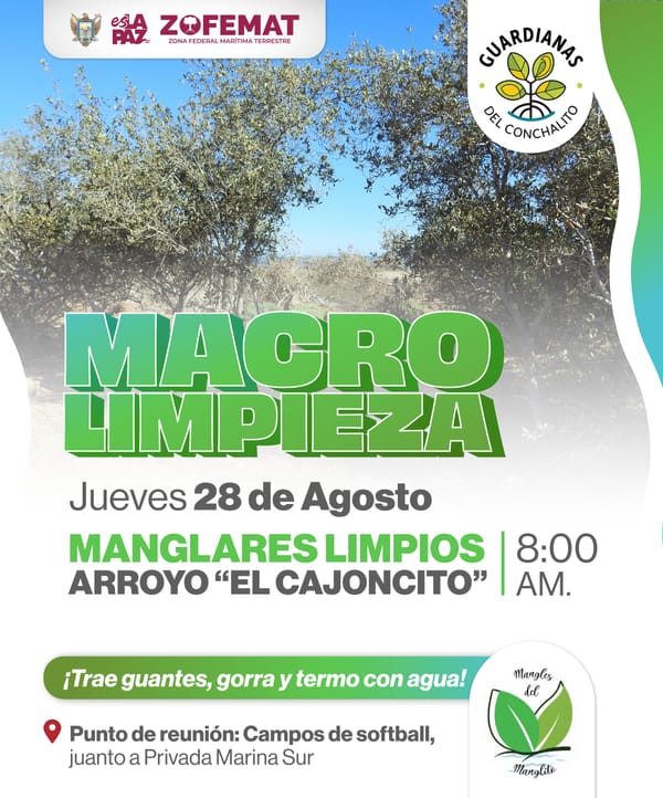 Gobierno Municipal de La Paz invita a la macro limpieza de manglares en arroyo “El Cajoncito”