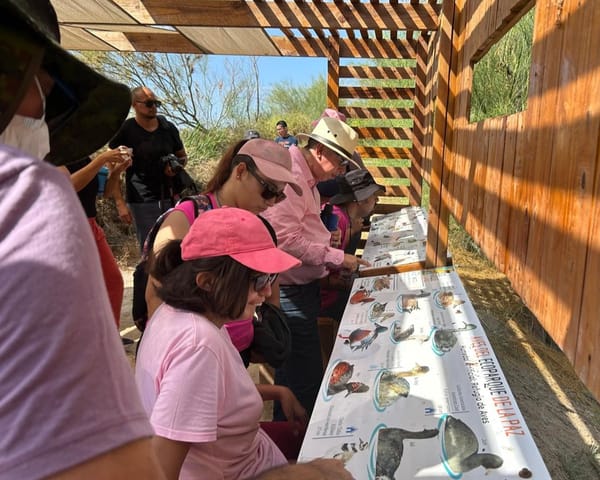 Realizan jornada de avistamiento de aves en el Ecoparque La Paz