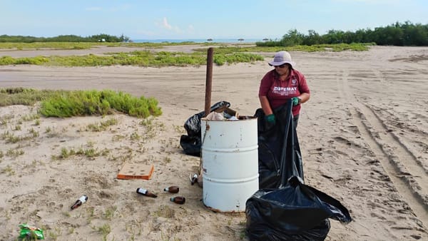 Recolecta Zofemat más de 5 toneladas de residuos en playas y zonas costeras de La Paz