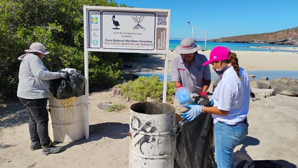 Recolecta Zofemat más de 5 toneladas de residuos en playas y zonas costeras de La Paz