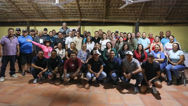 Avanza regularización de servicios turísticos en el Malecón de La Paz