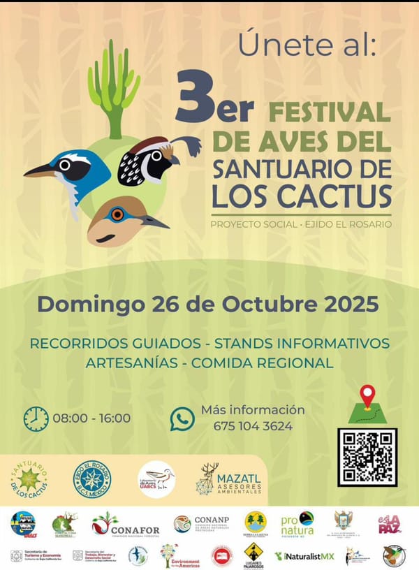 Turismo Municipal de La Paz invita al Tercer Festival de Aves del Santuario de los Cactus