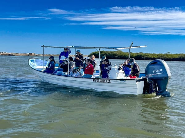 Puerto Chale fortalece su potencial turístico con taller de aviturismo