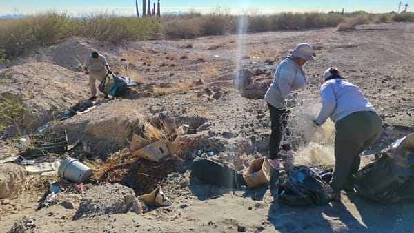 Recolectan 7 toneladas de residuos en playas de La Paz