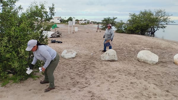 Recolectan más de 6 toneladas de residuos en playas de La Paz