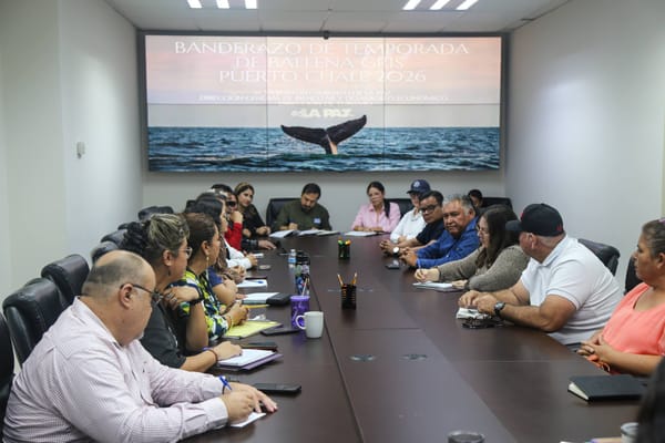 Coordina Turismo Municipal acciones para el avistamiento de ballenas en Puerto Chale