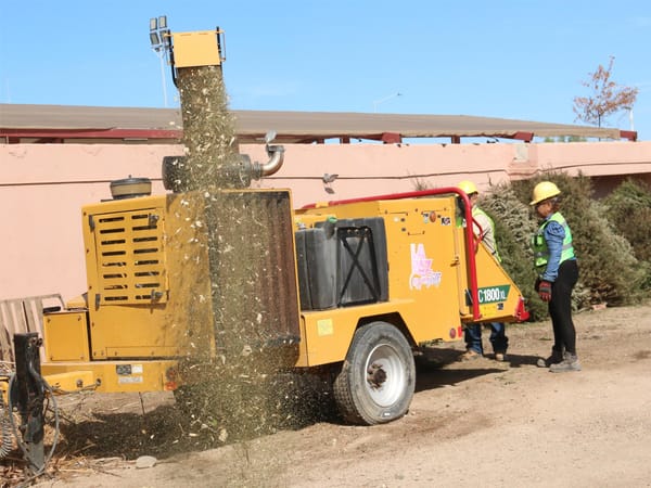 Avanza reciclaje de árboles de Navidad con el programa Manos a la Tierra