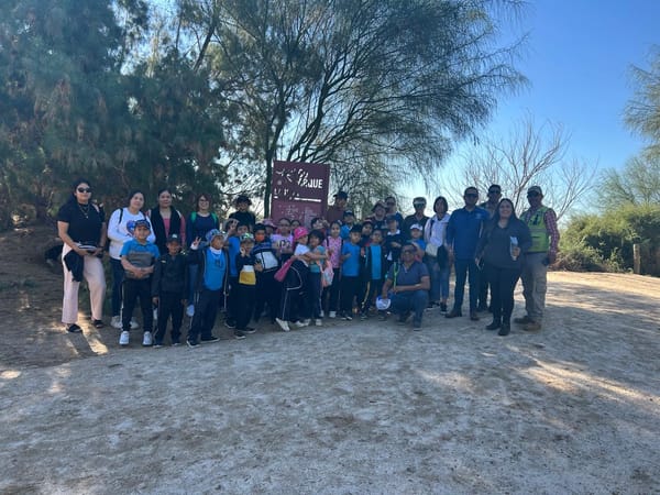 Promueven la conservación de aves en el municipio de La Paz