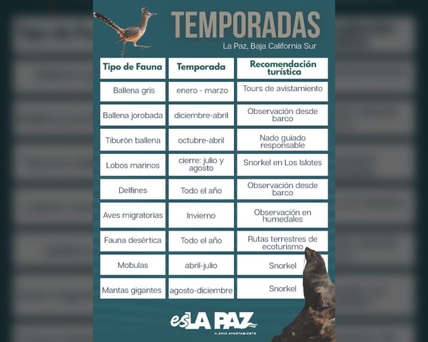 La Paz se consolida como destino de experiencias naturales todo el año
