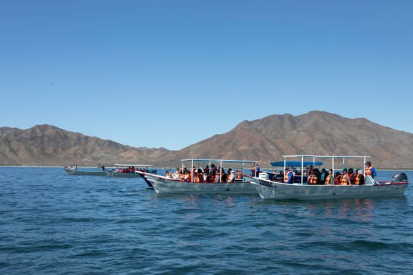 Impulsa gobierno de Milena Quiroga inclusión en experiencias turísticas