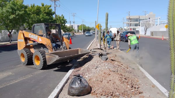 Servicios Públicos de La Paz amplía el programa de Camellones Choyeros