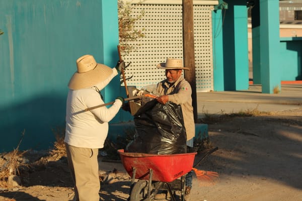 Servicios Públicos realiza limpieza en carreteras en la ciudad
