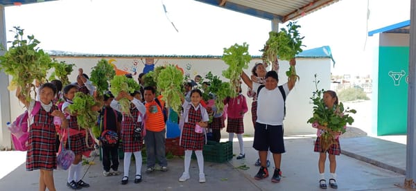 Obtienen primer cosecha del proyecto agroacuicola en Puerto Chale