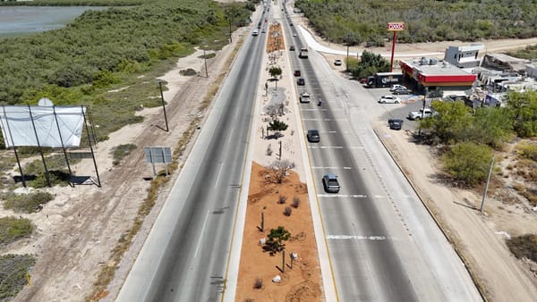 Avanza construcción de Camellones Choyeros y Línea Púrpura en La Paz