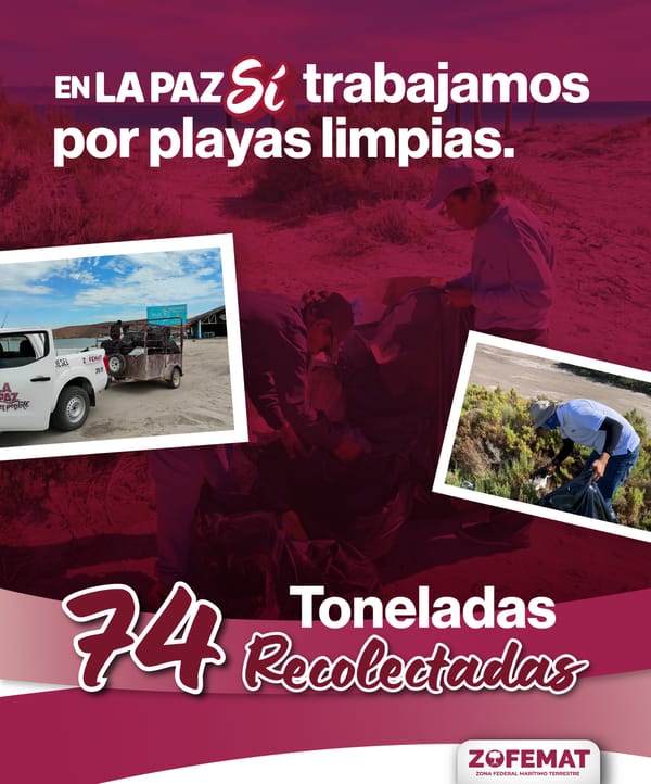 ZOFEMAT La Paz retira más de 74 toneladas de basura durante el primer trimestre de 2026