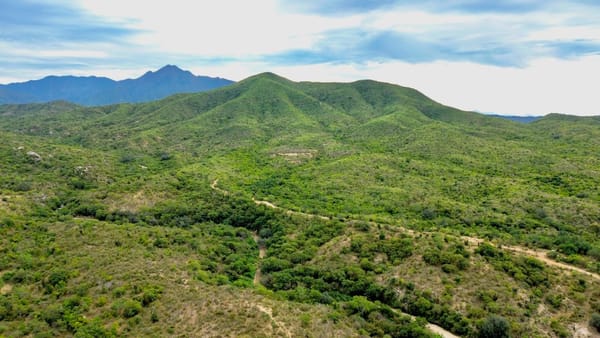Milena Quiroga cierra la puerta a cualquier construcción en Sierra de la Laguna: “No se toca, se cuida y se protege”